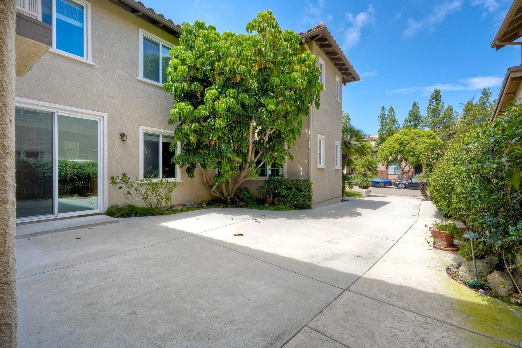 1614 Reflection Street San Marcos, CA 92078 - Photo 5 of 40 a view of backyard with plants and outdoor seating