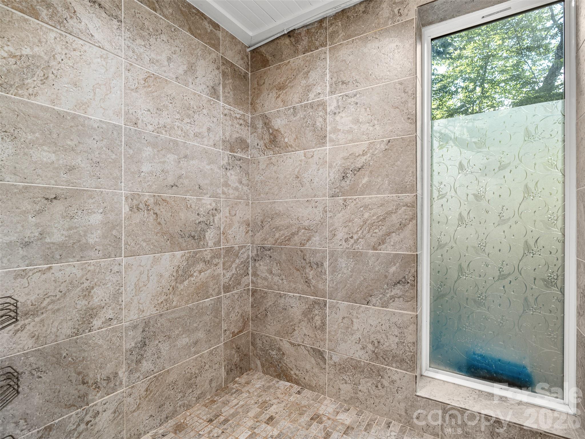 206 Chestnut Hill Road Gerton, NC 28735 - Photo 48 of 48 a bathroom with a shower