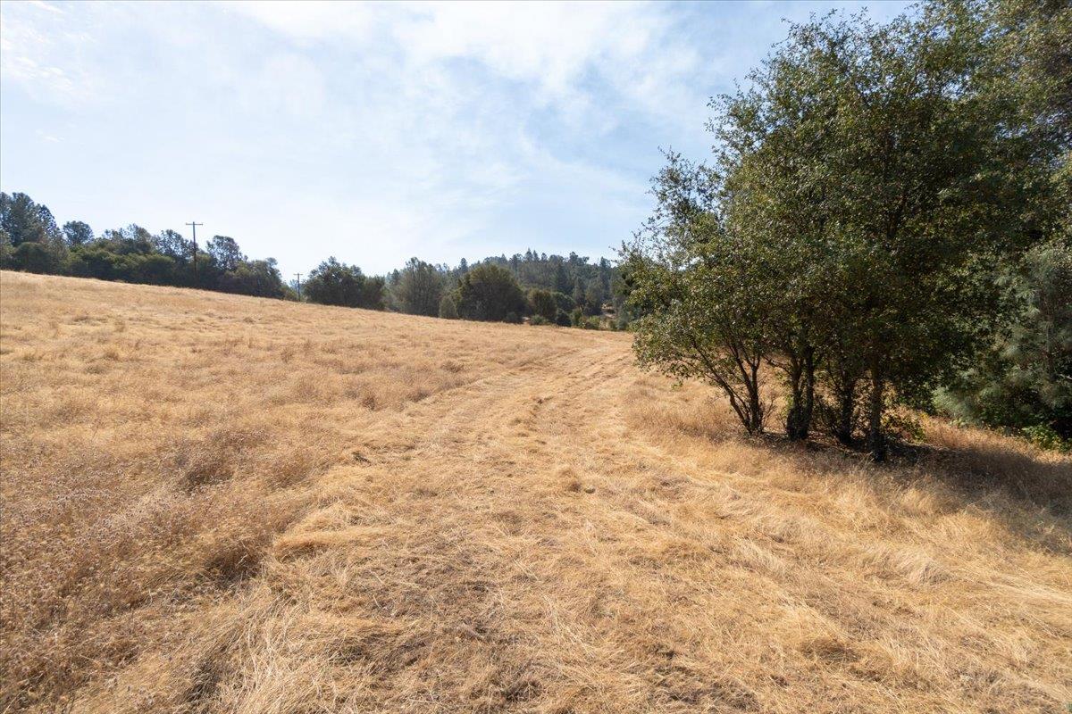 8260 Fairplay Road Somerset, CA 95684 - Photo 8 of 27 Pasture