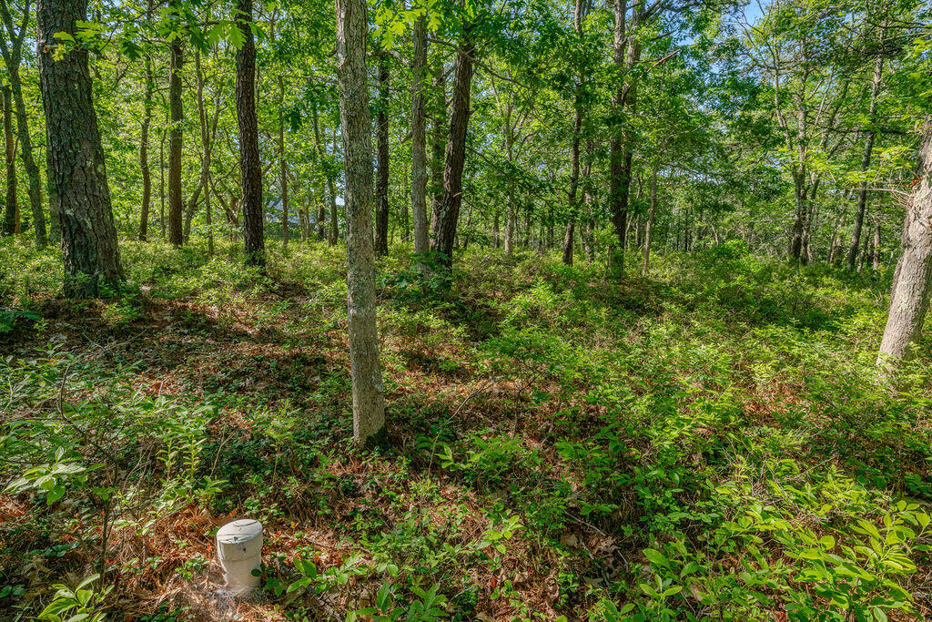 240 Gross Hill Road Wellfleet, MA 02667 - Photo 5 of 17 240_Gross_Hill-4