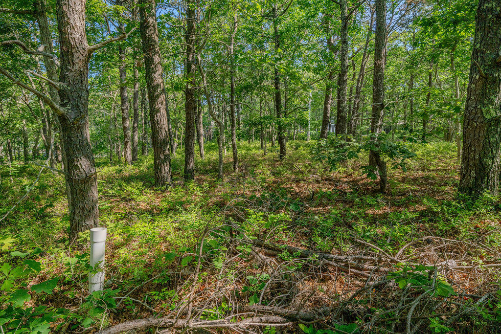 240 Gross Hill Road Wellfleet, MA 02667 - Photo 6 of 17 240_Gross_Hill-5