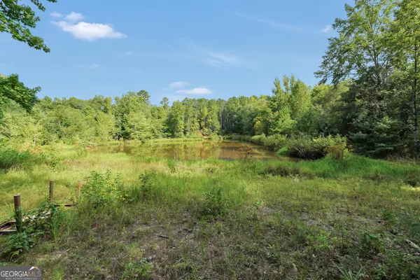 $735,000 | 2186 Williamson Zebulon Road, Williamson, GA 30292