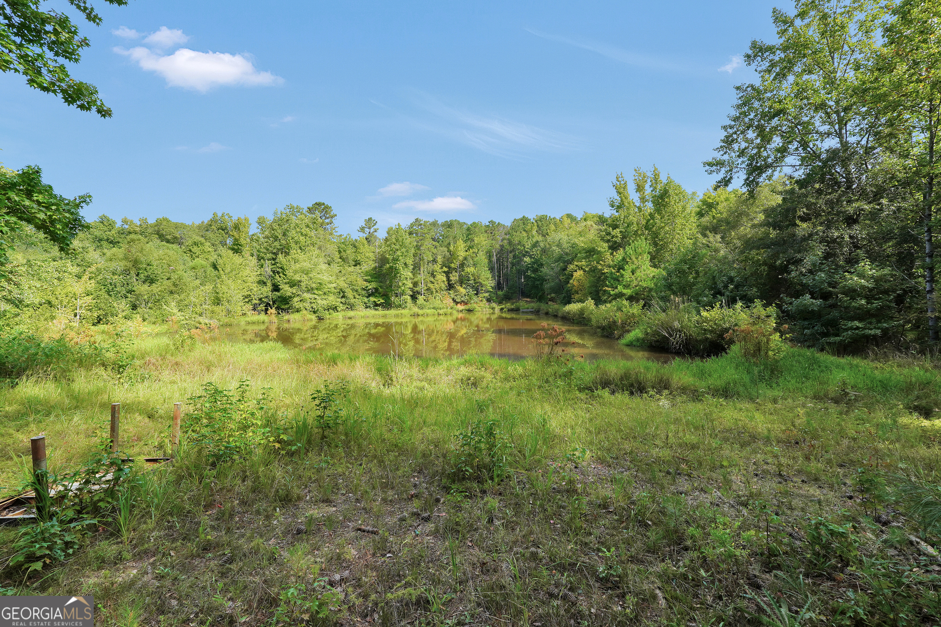2186 Williamson Zebulon Road Williamson, GA 30292 - Photo 51 of 68