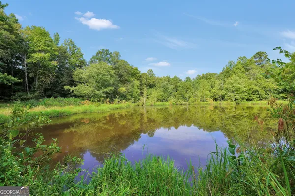 $735,000 | 2186 Williamson Zebulon Road, Williamson, GA 30292