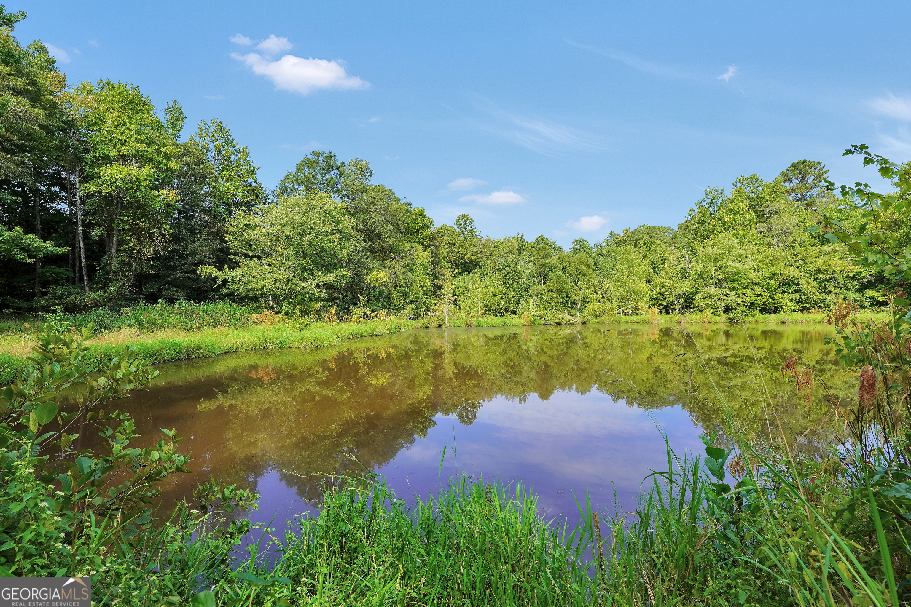 2186 Williamson Zebulon Road Williamson, GA 30292 - Photo 52 of 68