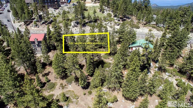 a view of a sign of a tree