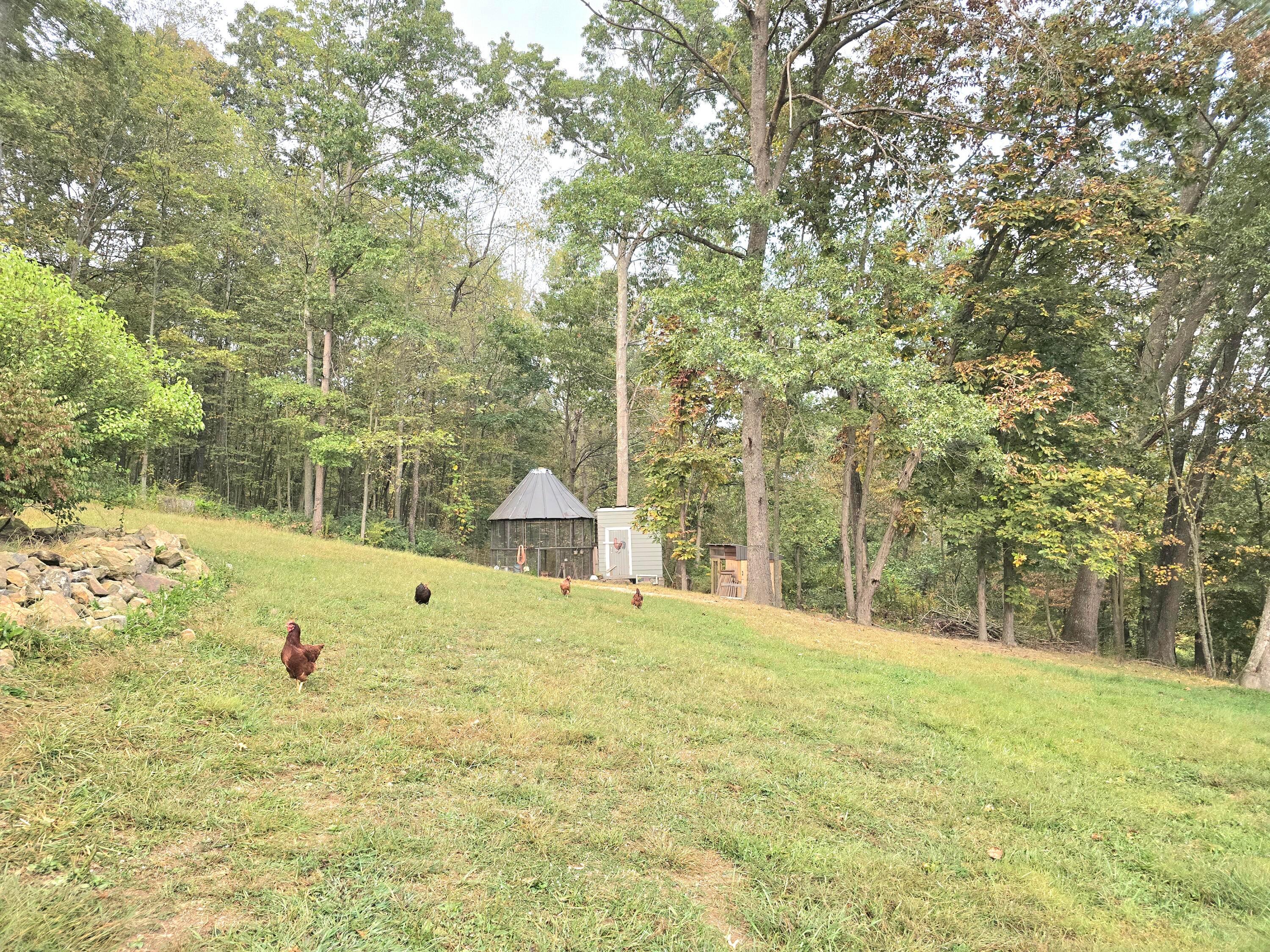 750 McGrery Road Southeast Lancaster, OH 43130 - Photo 25 of 29 1000040831