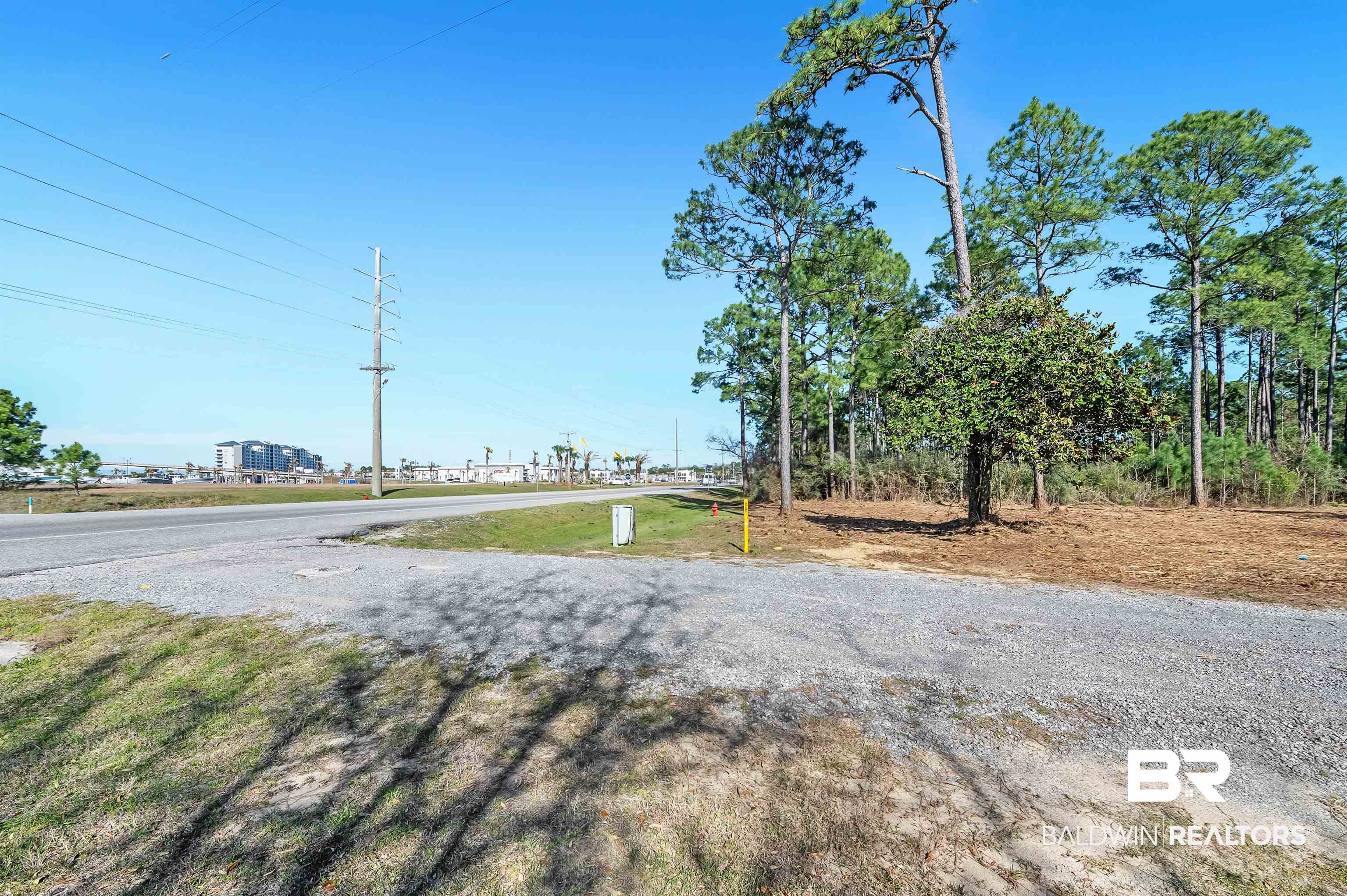 0 Canal Road Orange Beach, AL 36561 - Photo 4 of 25 View of road