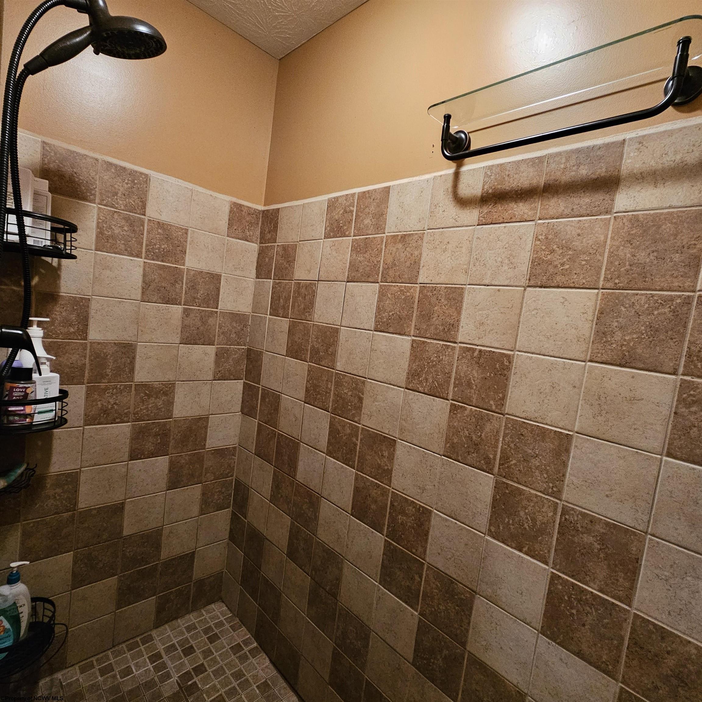 6531 Lake Lane Road Heaters, WV 26627 - Photo 16 of 41 Gallery Image 16