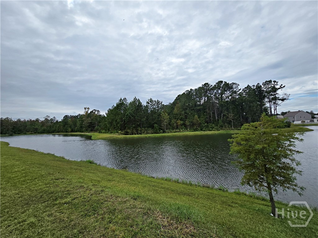 108 Butternut Boulevard Guyton, GA 31312 - Photo 24 of 29