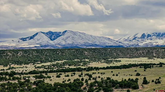 a view of a city with an ocean