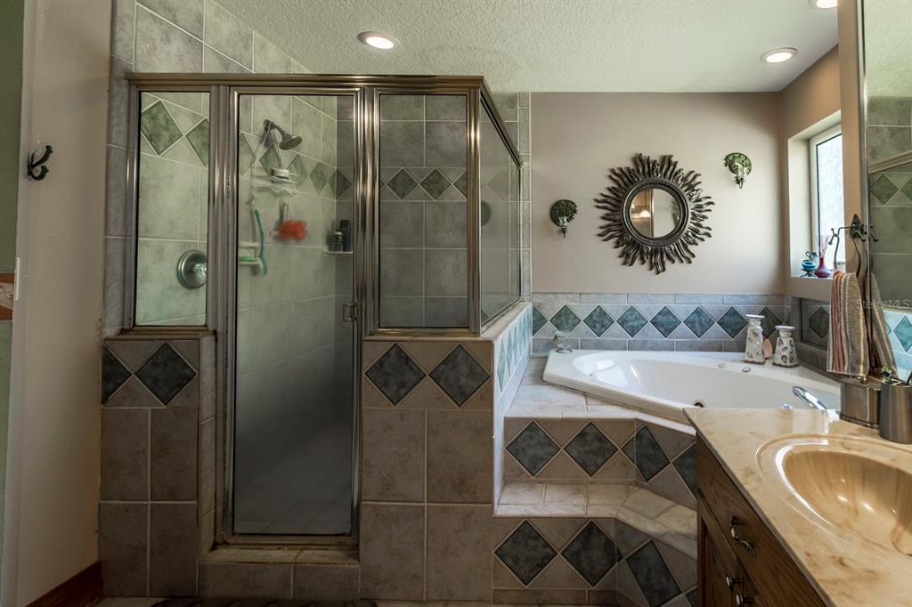 9215 Ridge Road New Port Richey, FL 34654 - Photo 43 of 71 a bathroom with a tub sink and mirror