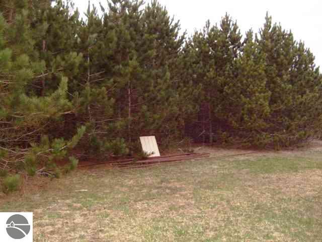 6517 Covert Road Northeast Mancelona, MI 49659 - Photo 23 of 24 1726223-22.JPG