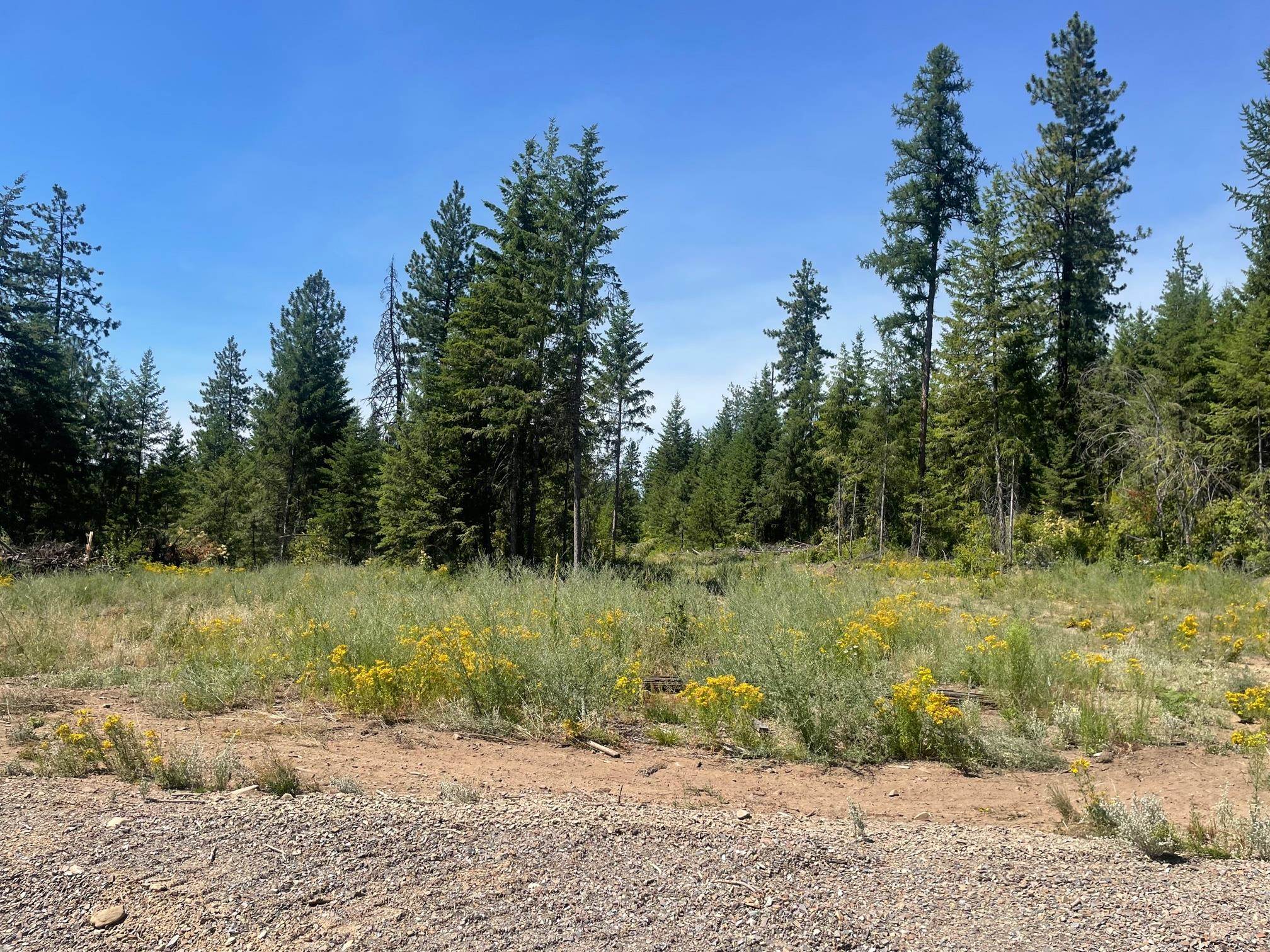 3050 Bead Lake Road Newport, WA 99156 - Photo 8 of 13 Gallery Image 8