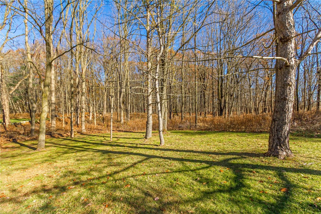 30 Parkview Manor Circle Mendon, NY 14472 - Photo 49 of 50