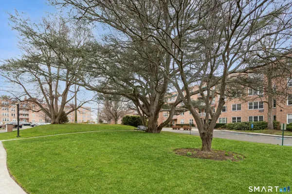 a big yard with large trees