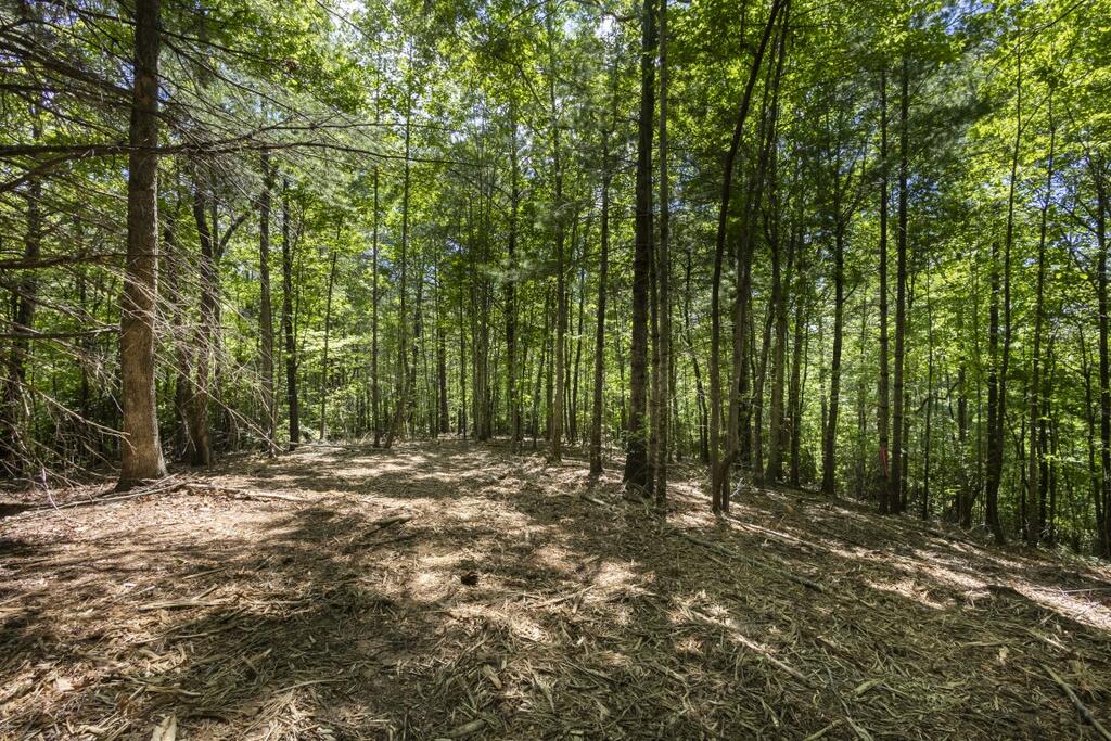 34-ac Donley Road Murphy, NC 28906 - Photo 27 of 37 Gallery Image 27