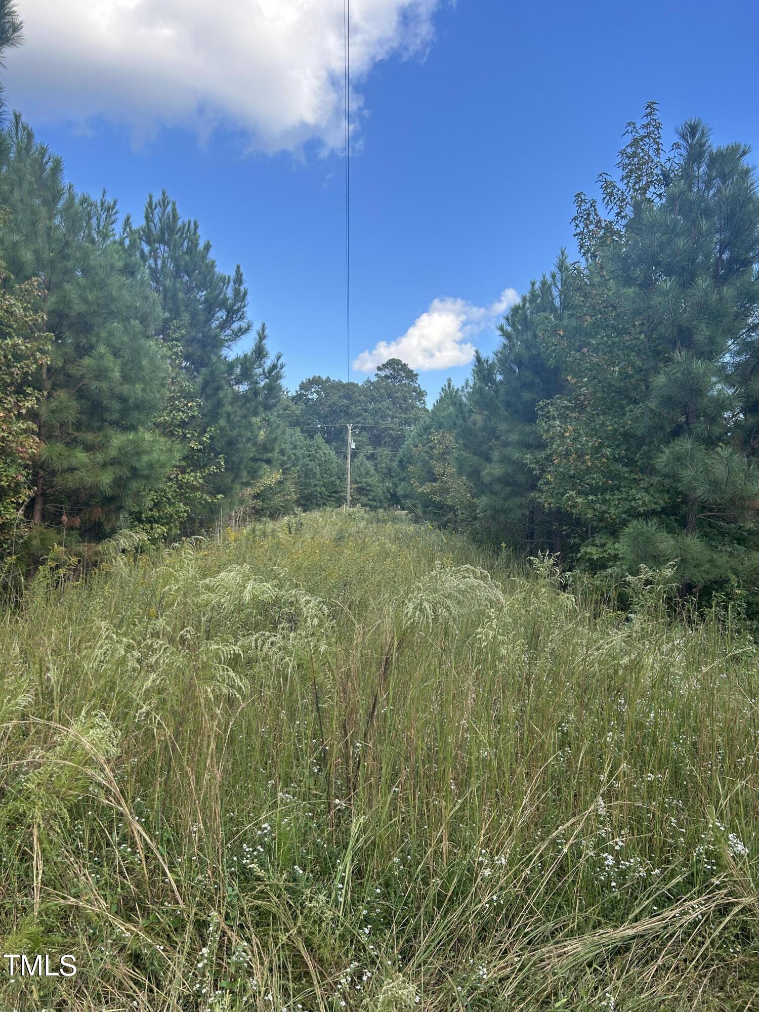 0 South Cokesbury Road Henderson, NC 27537 - Photo 11 of 13 a view of a lush green forest with large trees