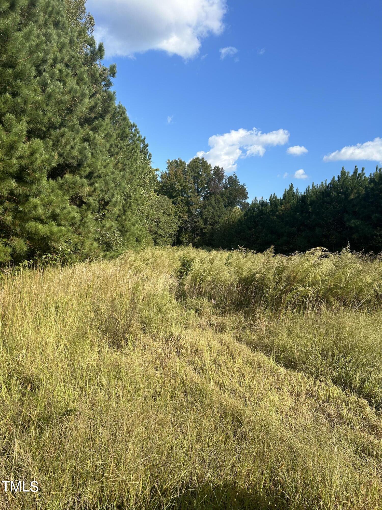 0 South Cokesbury Road Henderson, NC 27537 - Photo 5 of 13 a view of lake with green space