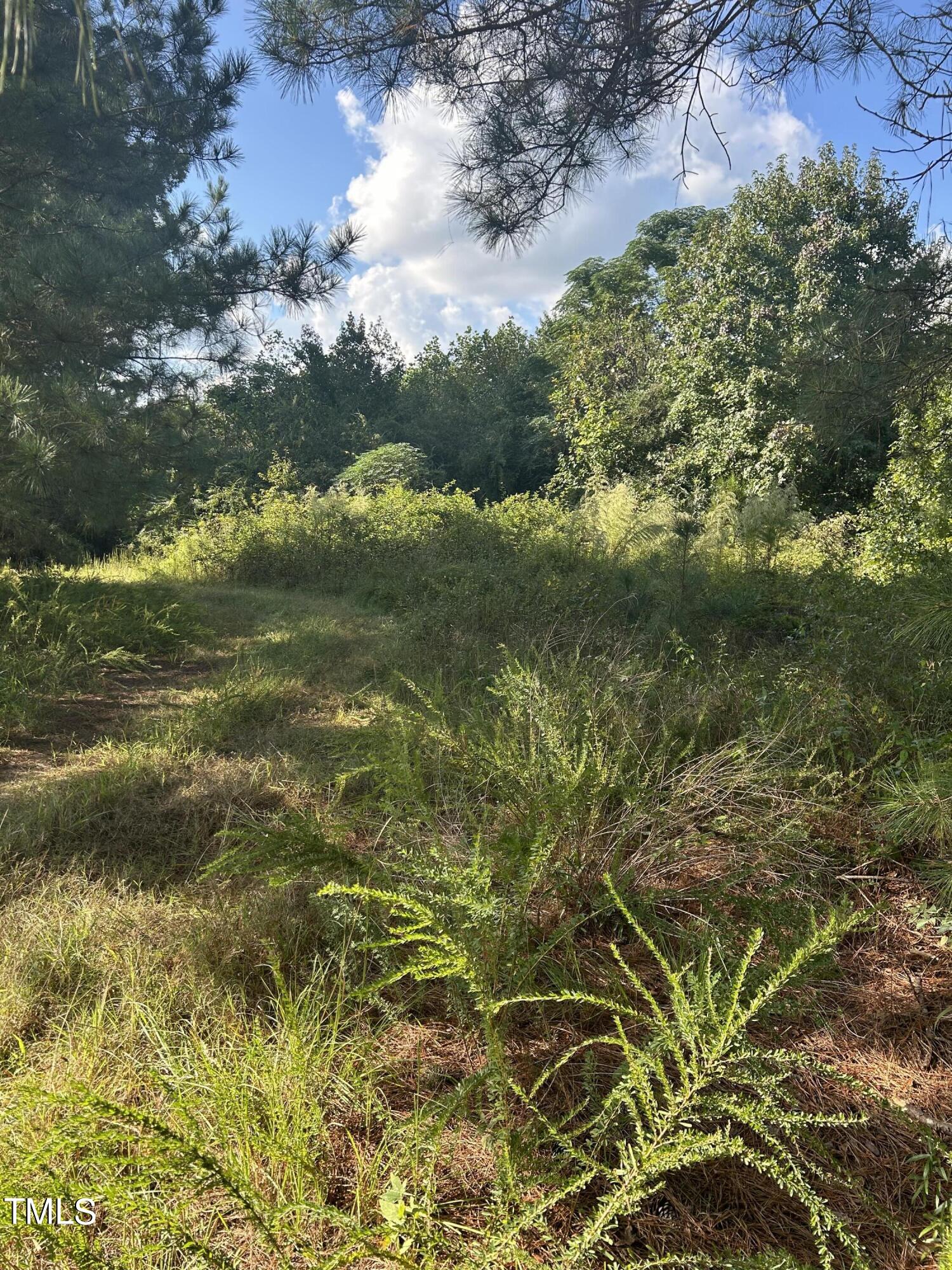 0 South Cokesbury Road Henderson, NC 27537 - Photo 6 of 13