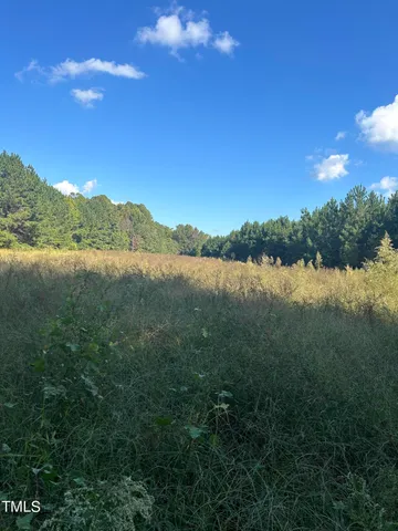 a view of a lake in middle of forest