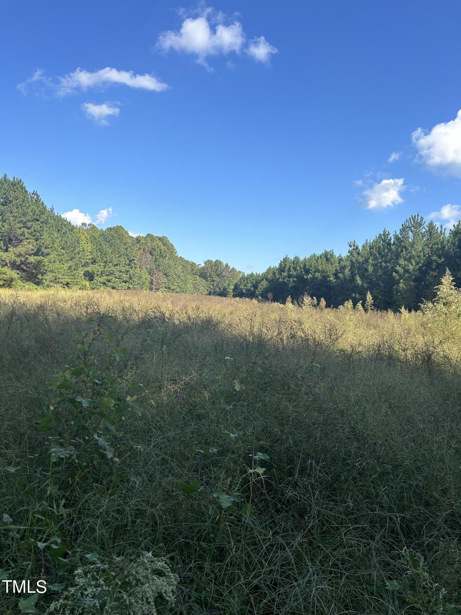 0 South Cokesbury Road Henderson, NC 27537 - Photo 7 of 13 a view of lake and mountain view