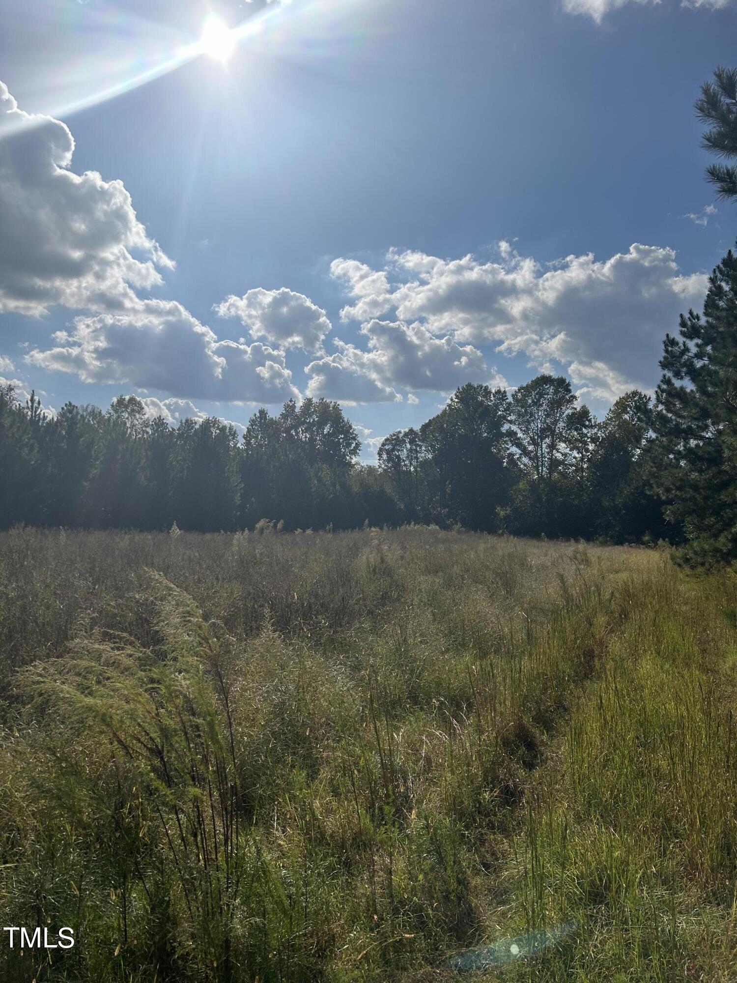 0 South Cokesbury Road Henderson, NC 27537 - Photo 8 of 13 a view of a lake in middle of forest