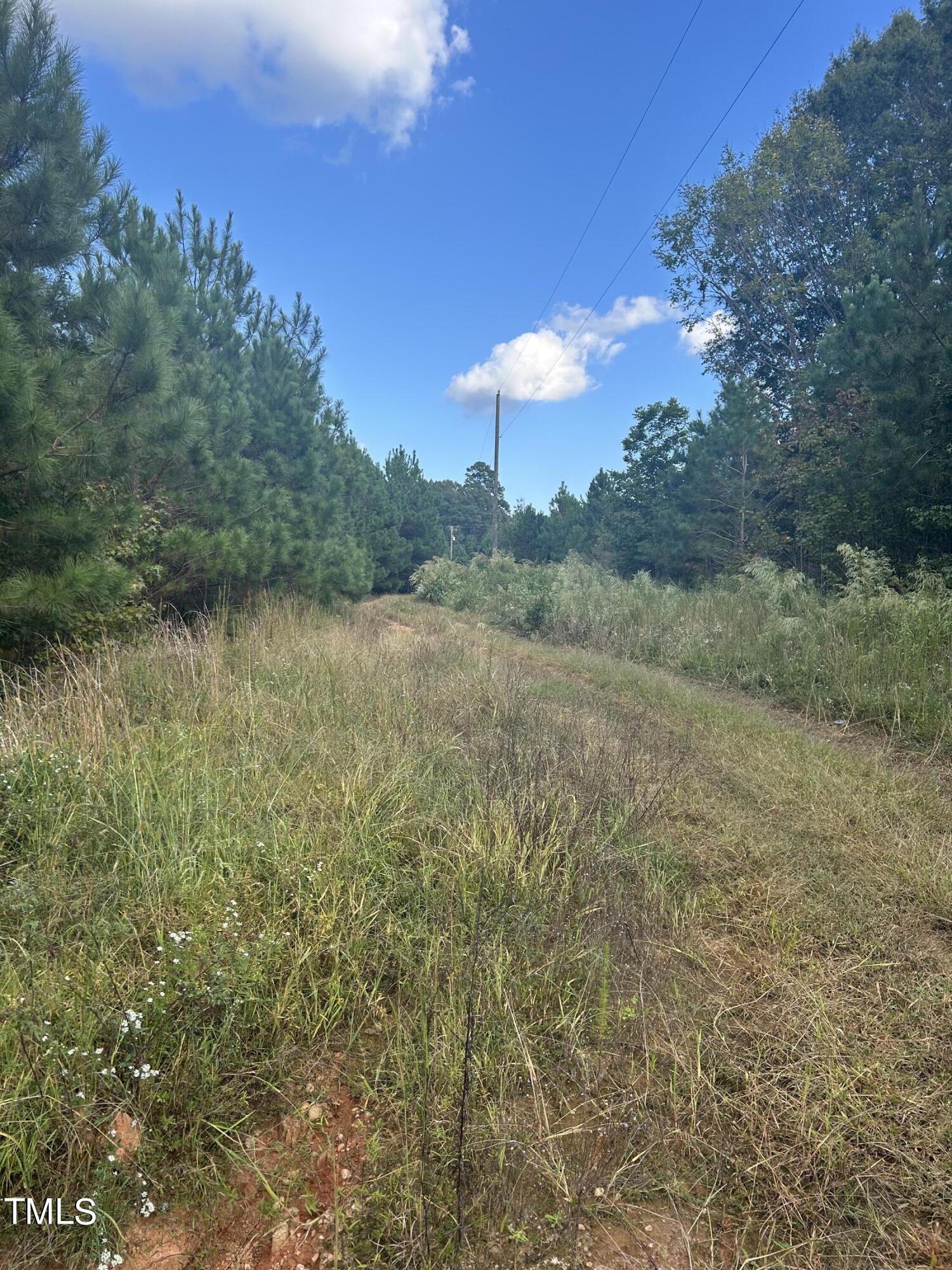 0 South Cokesbury Road Henderson, NC 27537 - Photo 10 of 13 a view of a lake with a yard