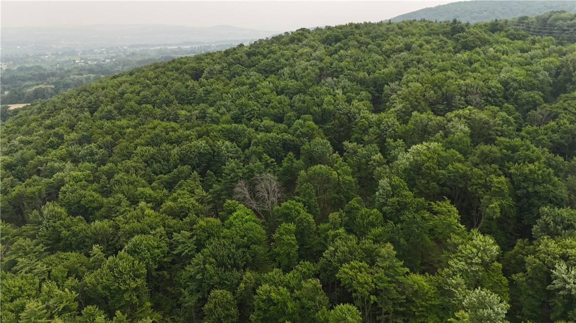 0 Ringwood Road Freeville, NY 13068 - Photo 30 of 35 Gallery Image 30
