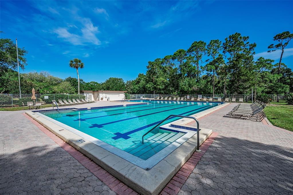 520 Sandy Hook Road Palm Harbor, FL 34683 - Photo 64 of 76