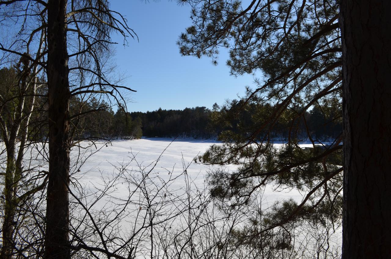 Lot 8 Point O Pines Road Tomahawk, WI 54487 - Photo 3 of 20 Gallery Image 3