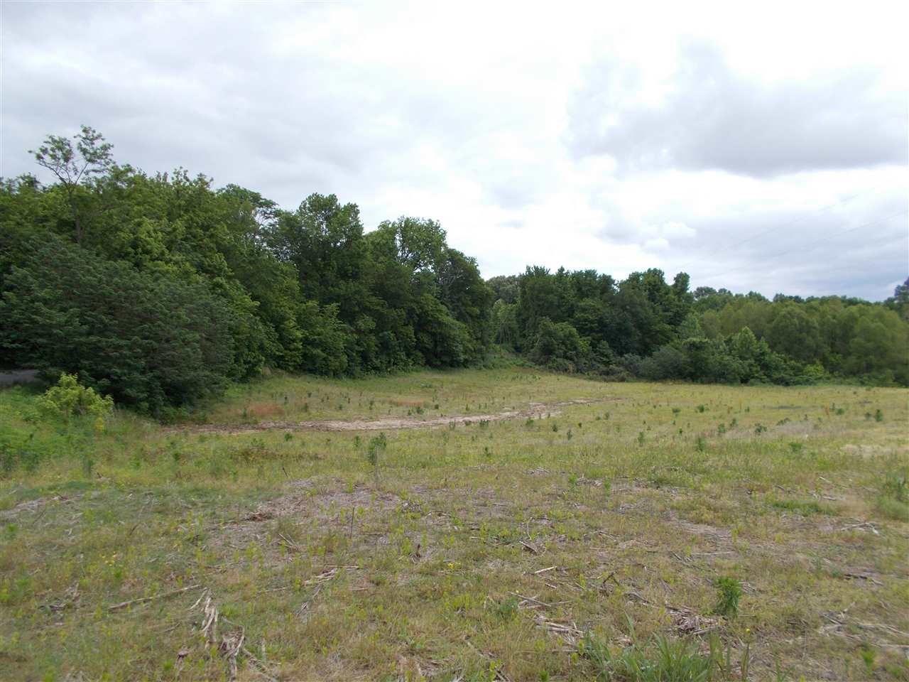 6 Long Hole Road Ripley, TN 38063 - Photo 3 of 8