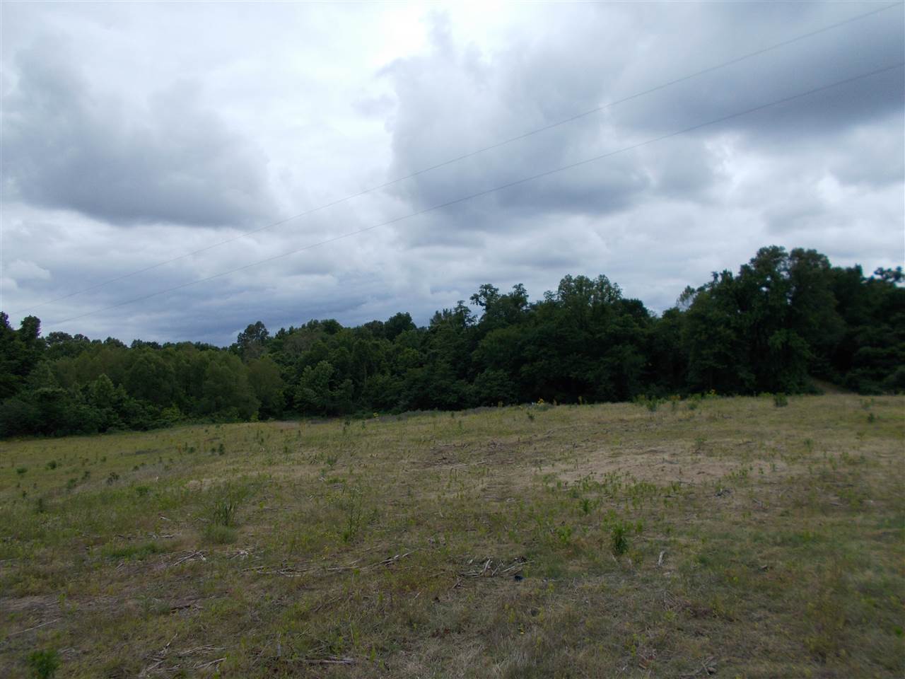 6 Long Hole Road Ripley, TN 38063 - Photo 4 of 8