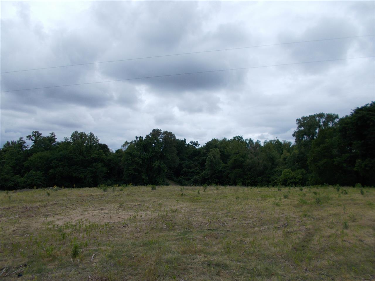 6 Long Hole Road Ripley, TN 38063 - Photo 5 of 8