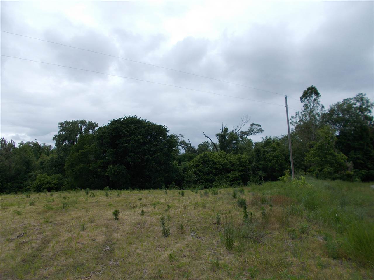 6 Long Hole Road Ripley, TN 38063 - Photo 6 of 8