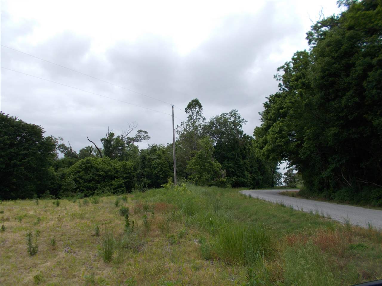 6 Long Hole Road Ripley, TN 38063 - Photo 7 of 8