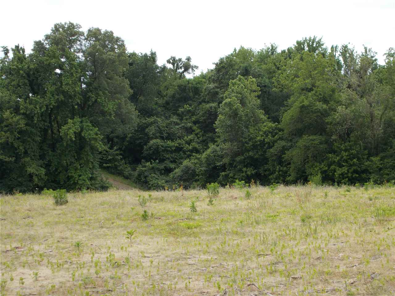 6 Long Hole Road Ripley, TN 38063 - Photo 8 of 8