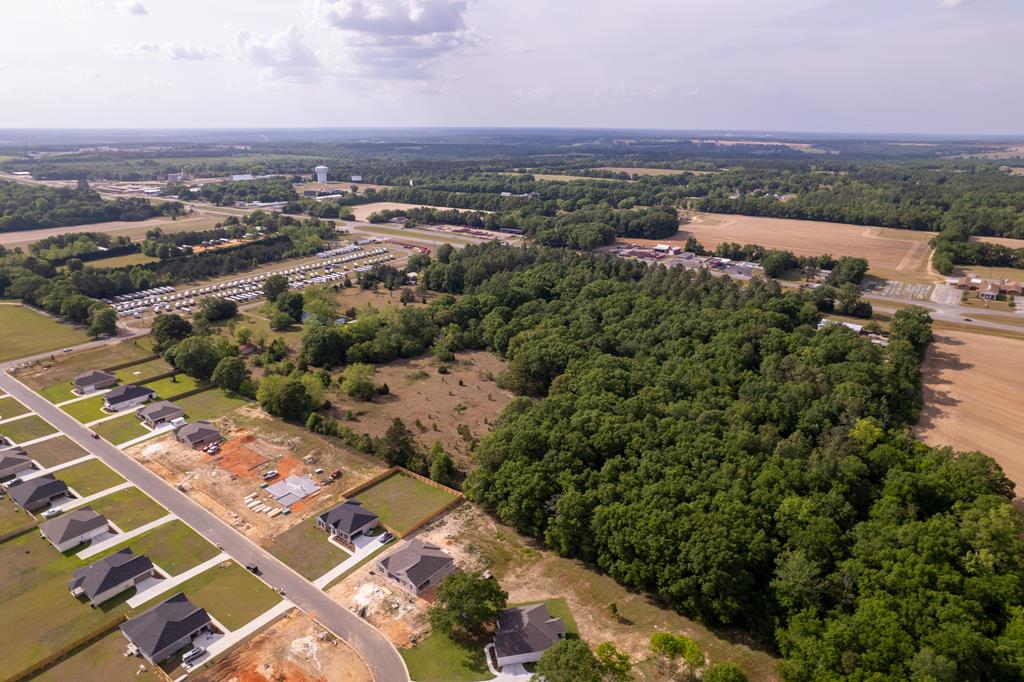 0 Hubbard Road Newton, AL 36352 - Photo 11 of 15