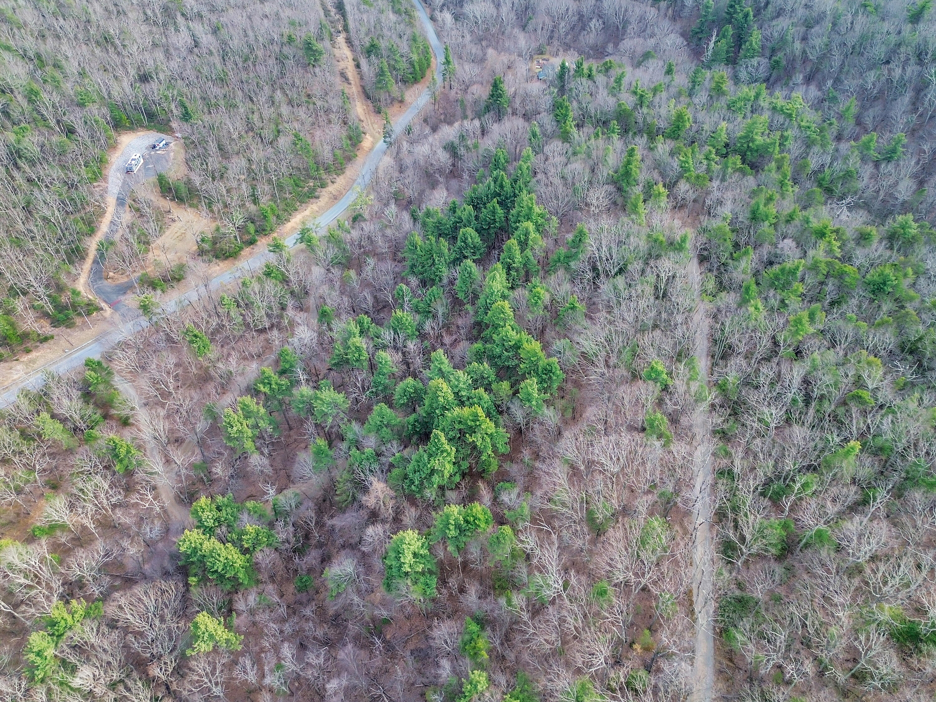 7923 Poor Mountain Road Bent Mountain, VA 24059 - Photo 61 of 95 DJI_0849