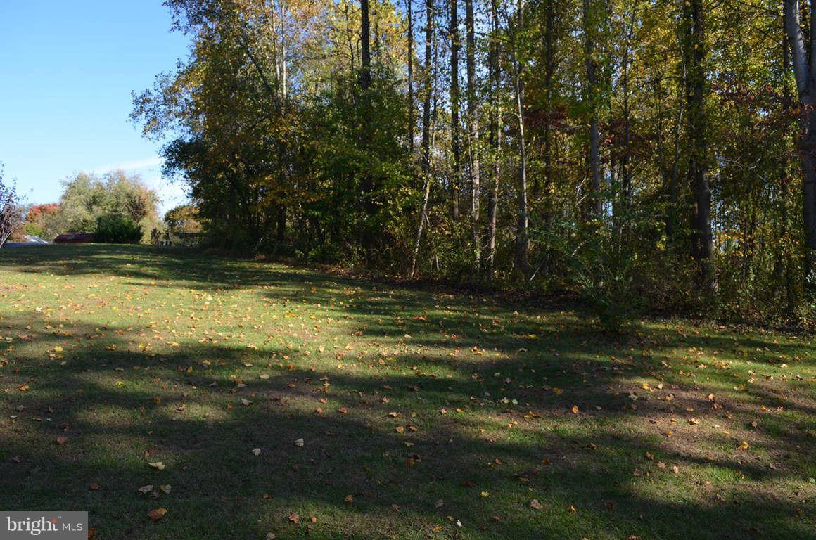 8715 Windsor Mill Road Baltimore, MD 21244 - Photo 28 of 29 FRONT YARD
