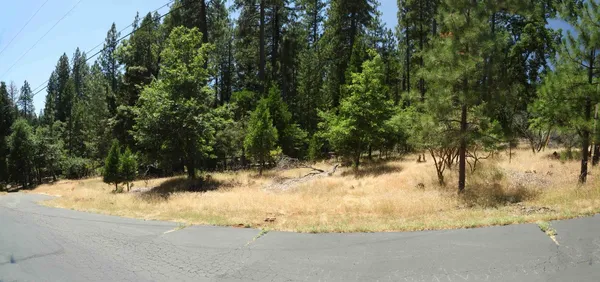 a view of a yard covered with snow in front of house