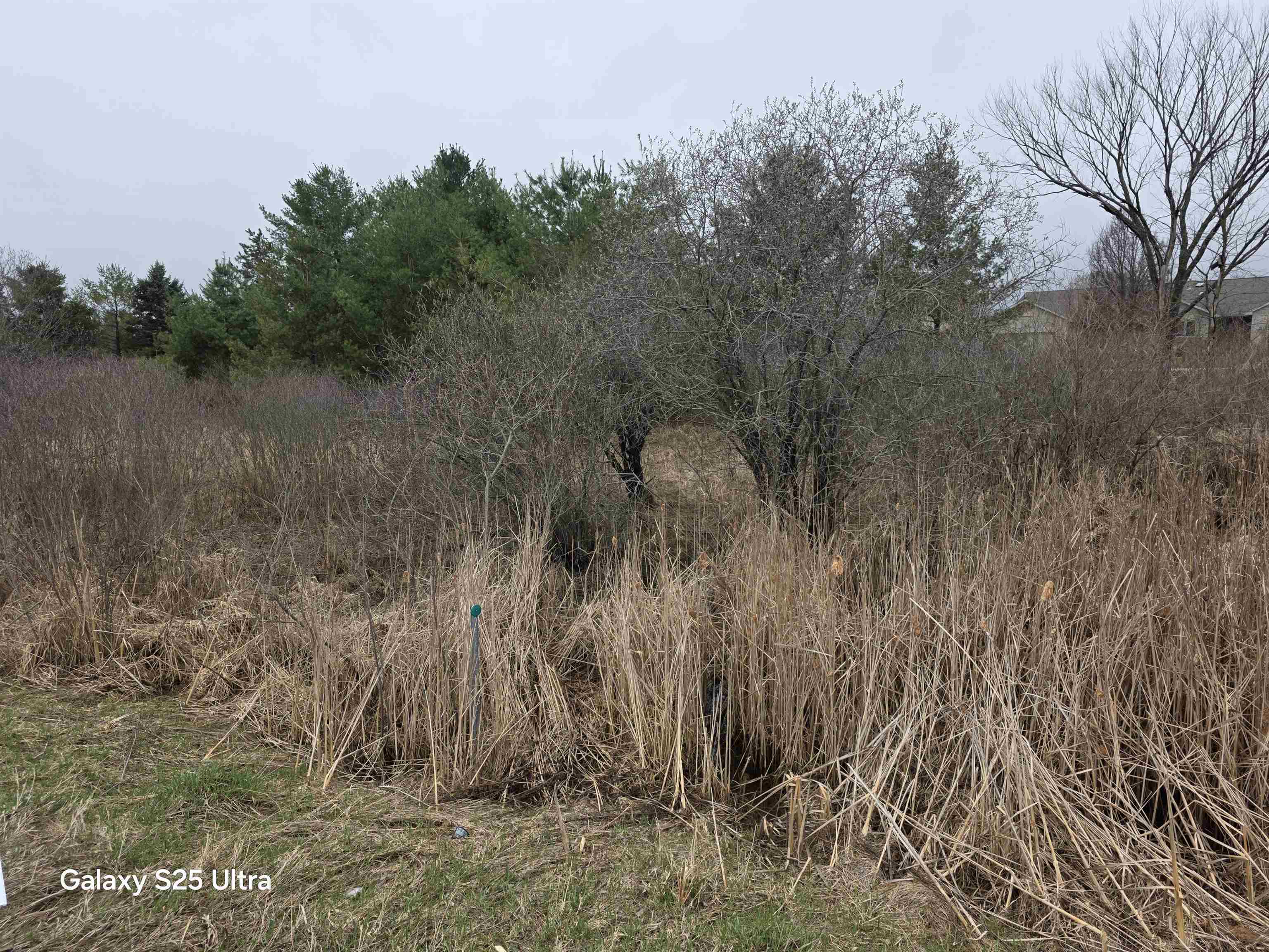 Lot 551 Hockaday Road, Unit HOCKADAY & DORMIE DR Gladwin, MI 48624 - Photo 9 of 11