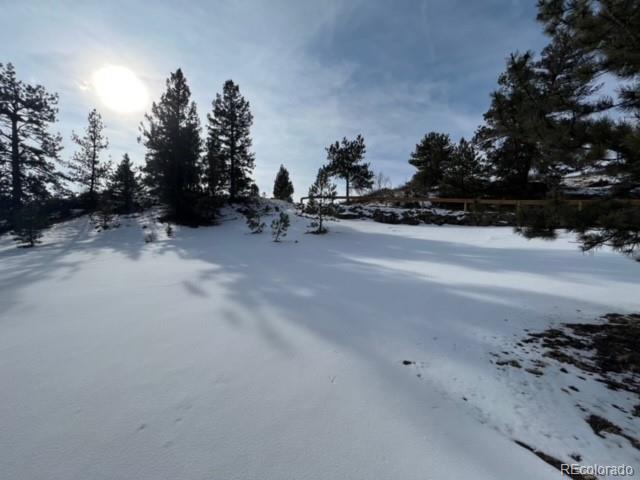 135 Bandana Road Hartsel, CO 80449 - Photo 15 of 28