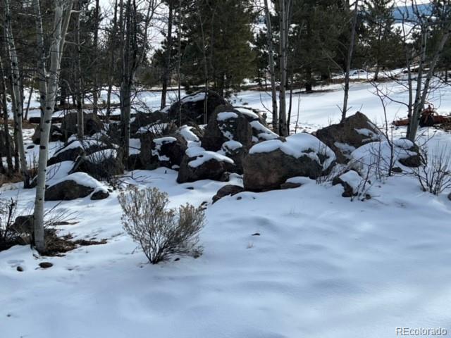 135 Bandana Road Hartsel, CO 80449 - Photo 17 of 28
