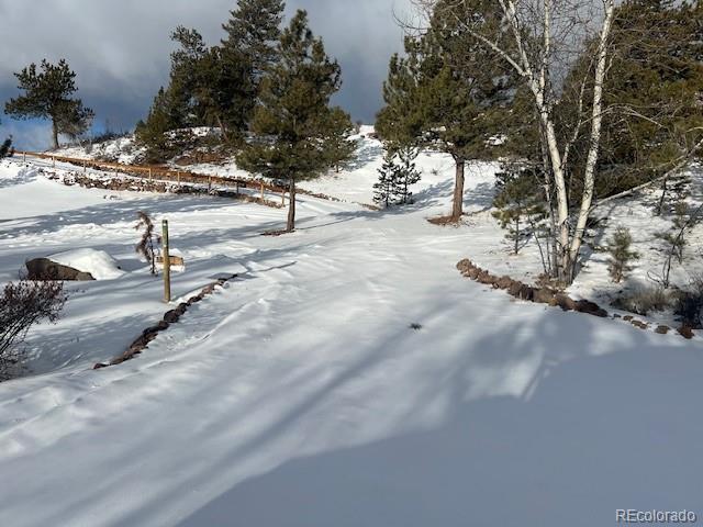 135 Bandana Road Hartsel, CO 80449 - Photo 19 of 28