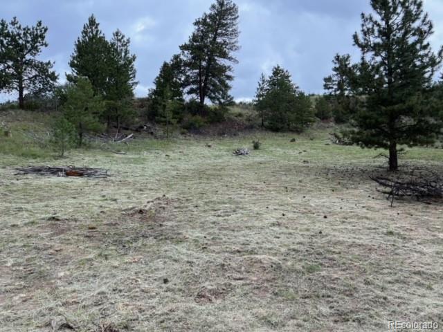 135 Bandana Road Hartsel, CO 80449 - Photo 2 of 28