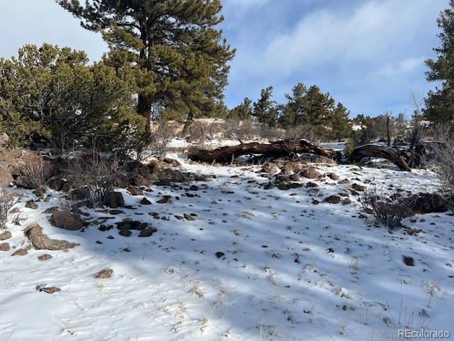 135 Bandana Road Hartsel, CO 80449 - Photo 23 of 28