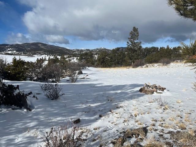 135 Bandana Road Hartsel, CO 80449 - Photo 24 of 28