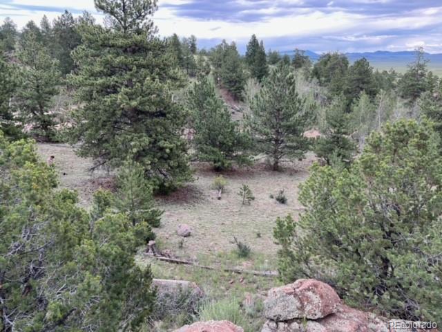 135 Bandana Road Hartsel, CO 80449 - Photo 3 of 28