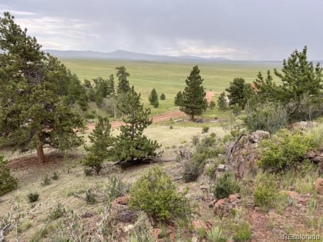 135 Bandana Road Hartsel, CO 80449 - Photo 5 of 28